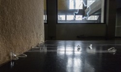 Hauser, Viaggio con diverse velocità (Journey at different paces), wooden table with chalkboard-like surface, chalk, shard of glass , Colonia, MF Pavilion, 2014 -  Photo by Giacomo De Donà