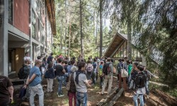 Cabin-atelier and pavilions in the woods of Borca.