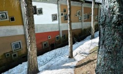 Borca Colonia, esterni