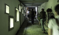 Progettoborca visitors