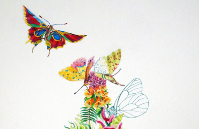 evid_Studio-per-SorgenteGorgoglio-delle-Creature-acquerello-tn
