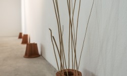 the inner outside (bivouacs), Gola Hundun, Studio per "Sorgente (Gorgoglio delle Creature), 2014