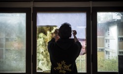 Moras all'opera in Colonia - Foto Giacomo De Donà