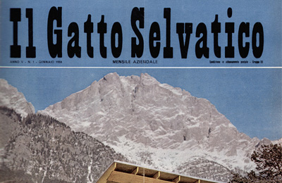 il gatto selvatico_ev