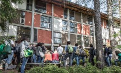 Nel bosco alla Colonia, tra i padiglioni