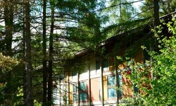 Nel bosco alla Colonia, tra i padiglioni