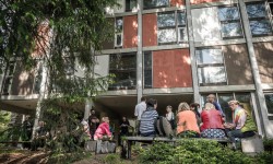 Nel bosco alla Colonia, tra i padiglioni