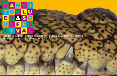 san vito blues and soul festival_borca