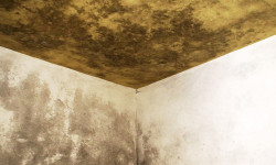 Studiocampione_Habitare_super_3
