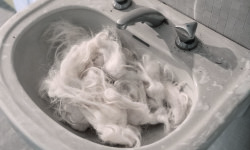 DSC_1577riparipa_FABRIZIO